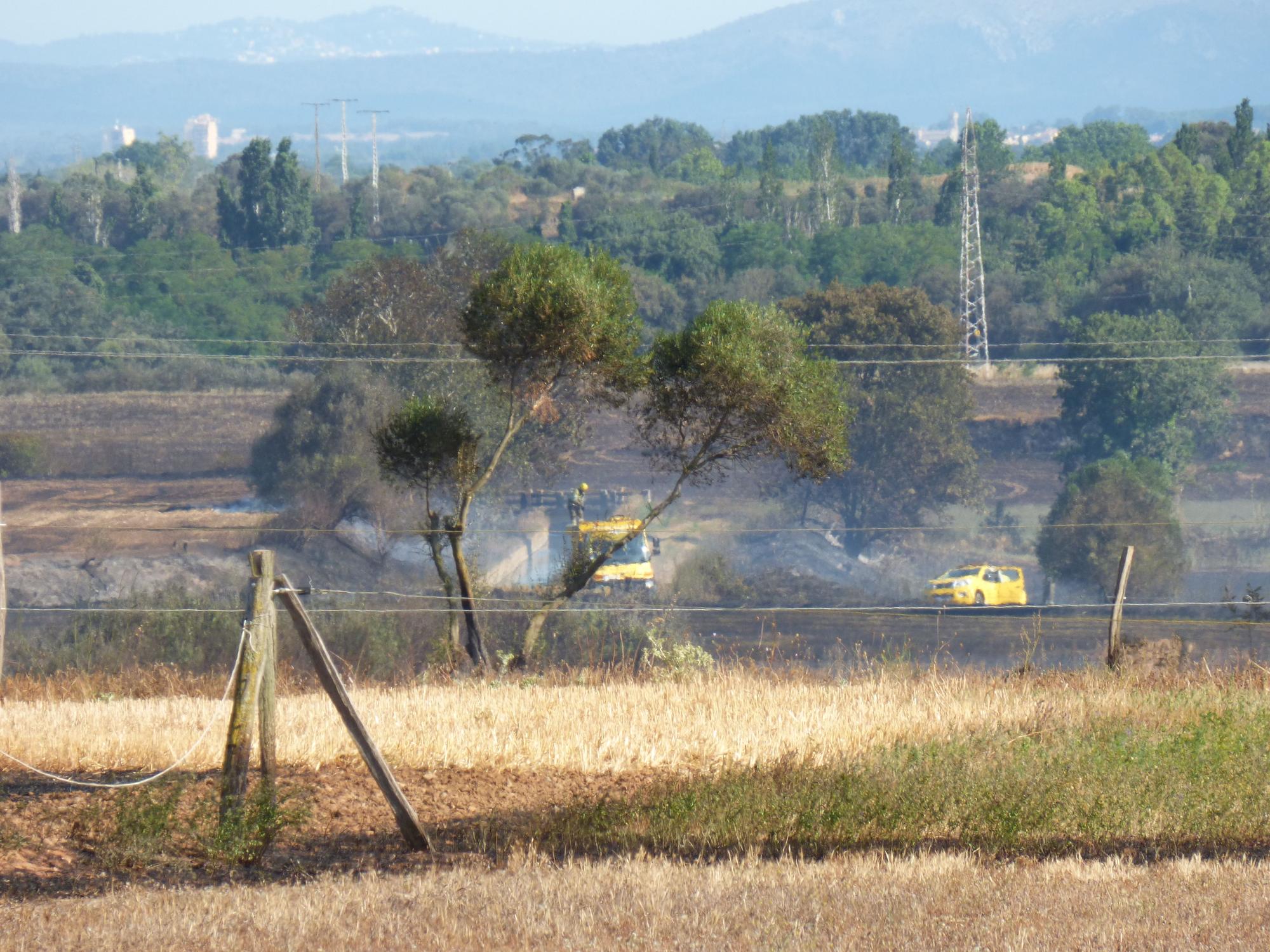 Un incendi ha calcinat 32 hectàrees de vegetació agrícola a Peralada