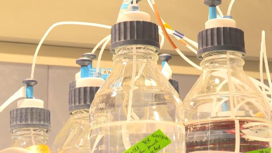 Cada persona puede ingerir unos 262 microgramos de plástico al año a través del agua embotellada