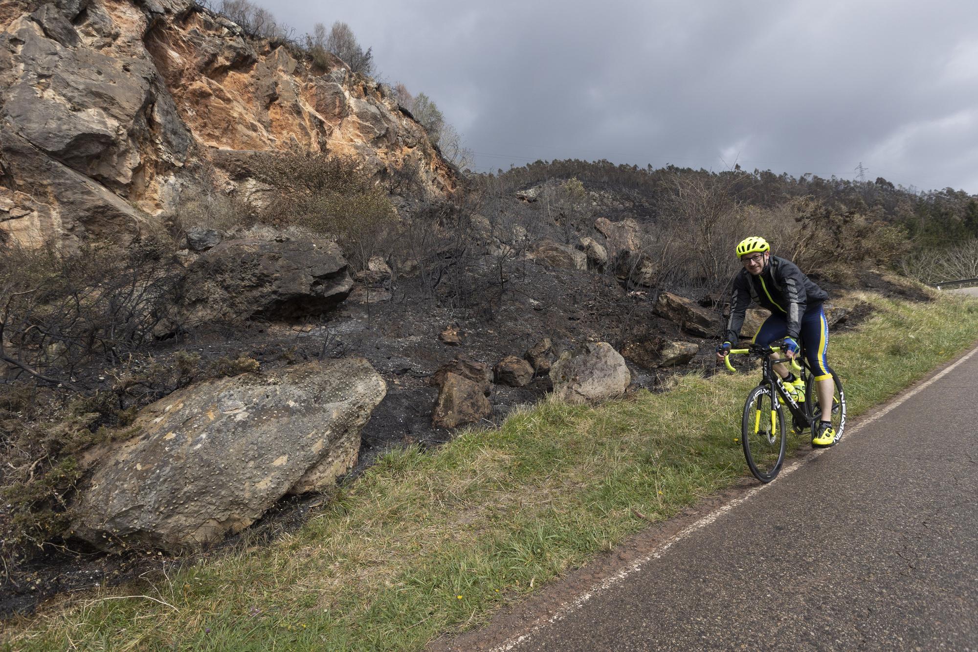 El aspecto del Naranco tras unos incendios históricos