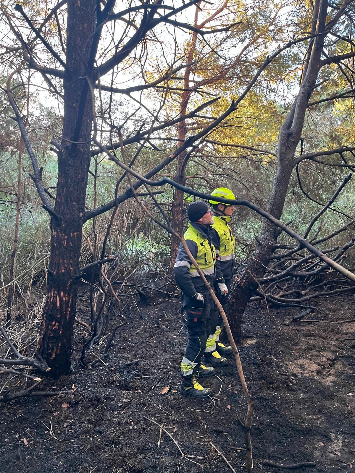 Incendio en El Saler