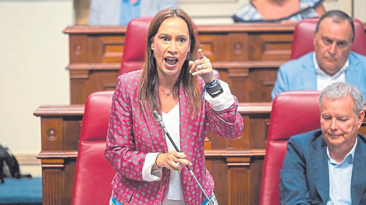 Nira Fierro, durante una intervención en el Parlamento canario esta semana.