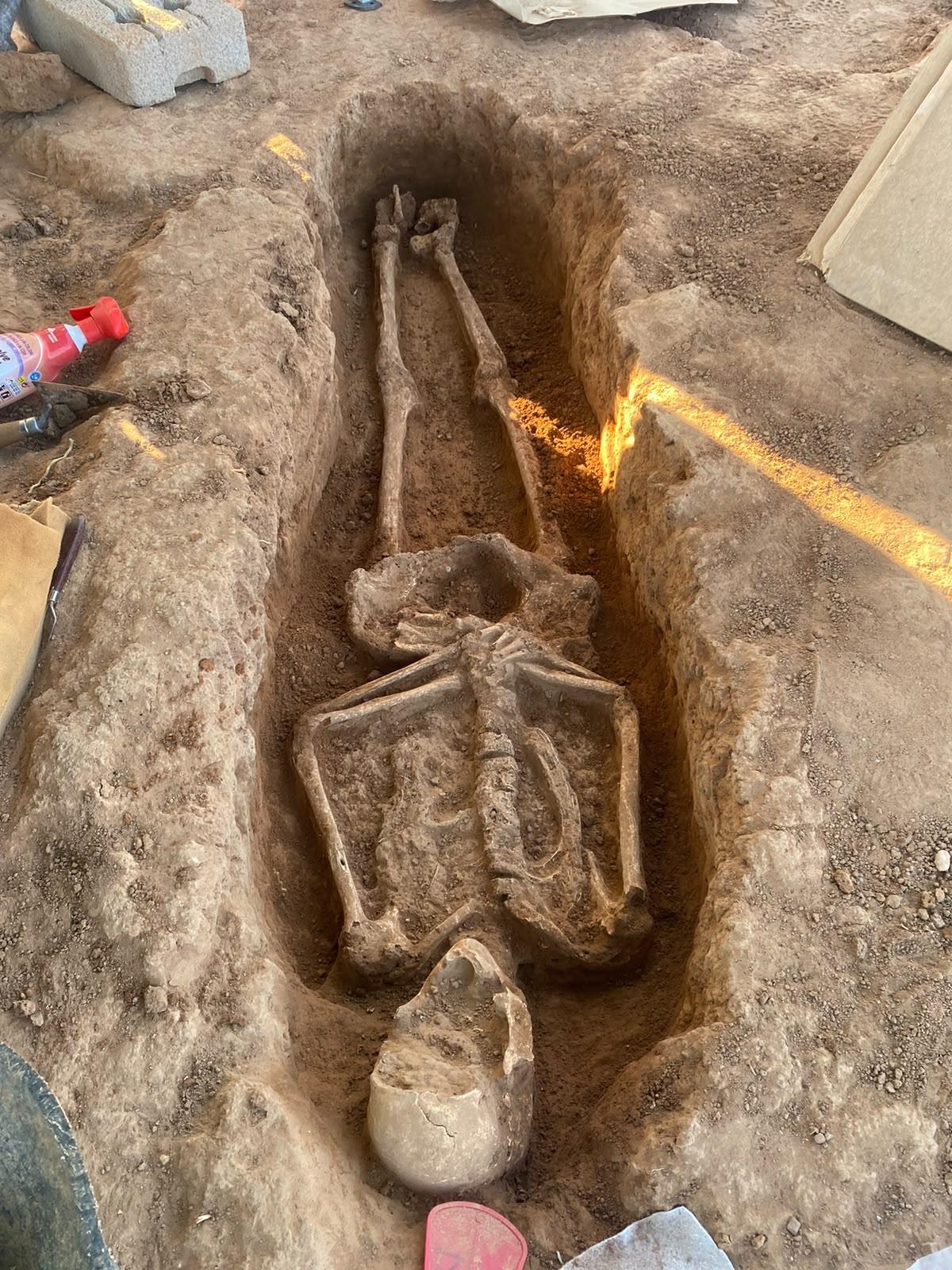 Uno de los esqueletos de la necrópolis de Carlet.