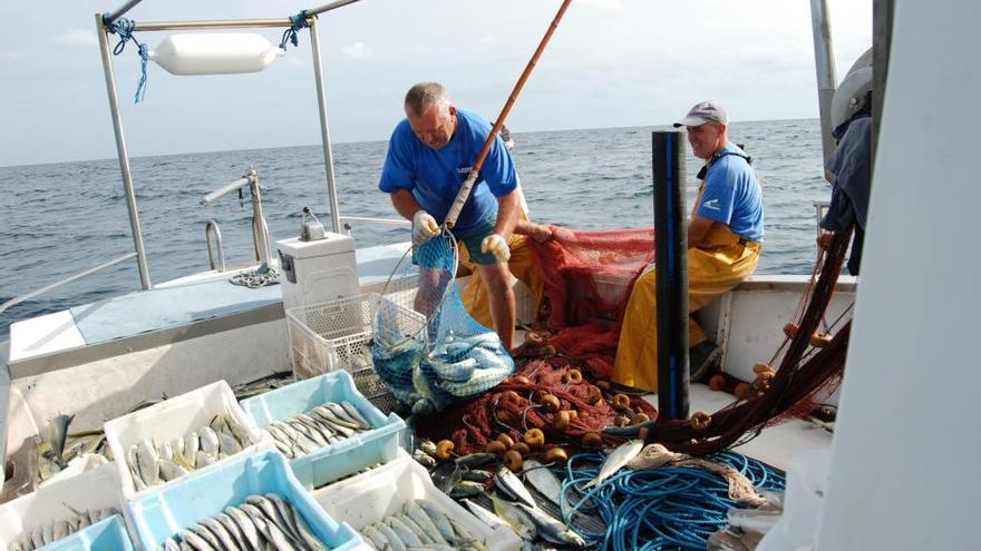 La descarga de pescado fresco desciende un 17,5% en los puertos de Baleares