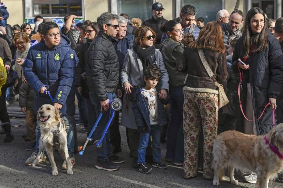 Bendición de animales en Els tres tombs