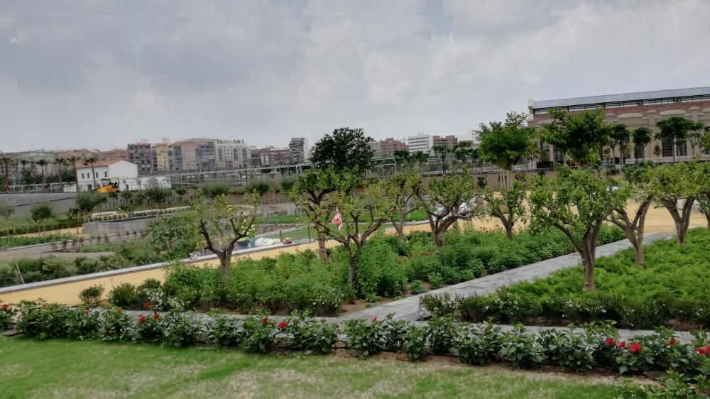 Los jardines del Parque Central florecen