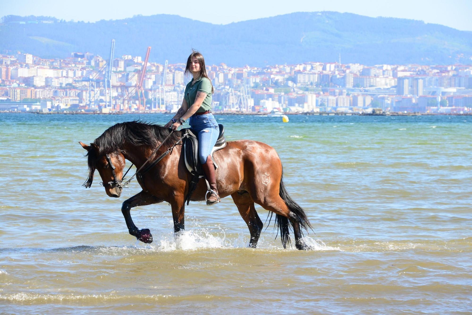 Una espectacular jornada a caballo por Moaña (I)