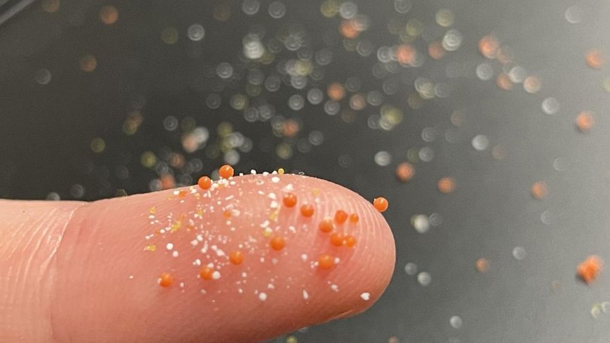 Inventan un sistema eficaz y barato para detectar los nanoplásticos que invaden el cuerpo humano