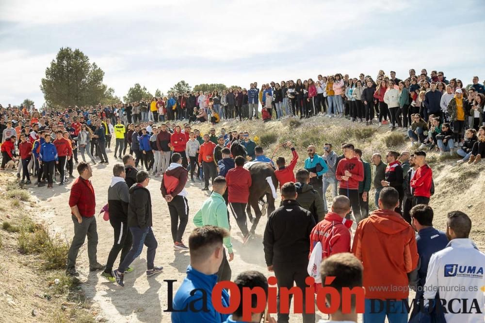 Carrera de entrenamiento de los Caballos del Vino