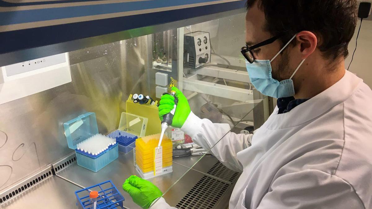 Jiménez Guardeño, trabajando en el laboratorio.