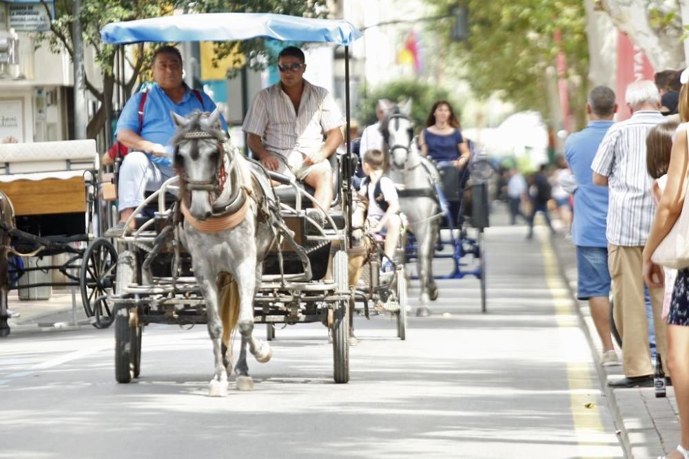 Día del Caballo en Alfonso X