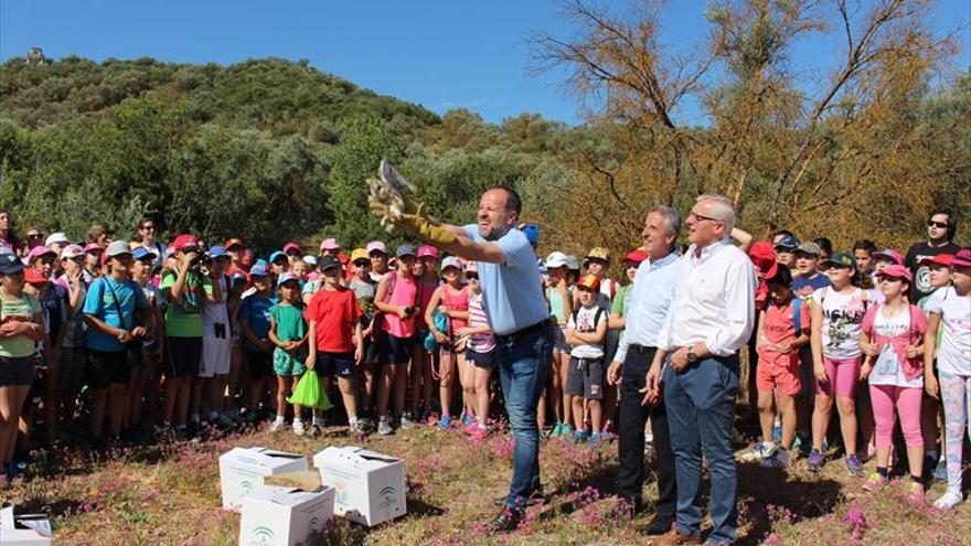 Siete aves recuperadas por la Junta vuelven a la laguna Amarga