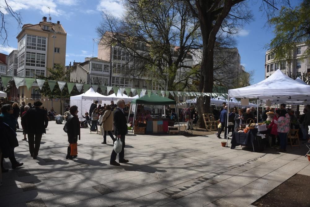 Mercado ecológico en la plaza de España