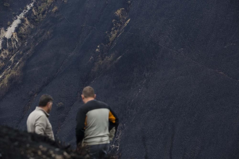 Desolación en el suroccidente asturiano tras los incendios