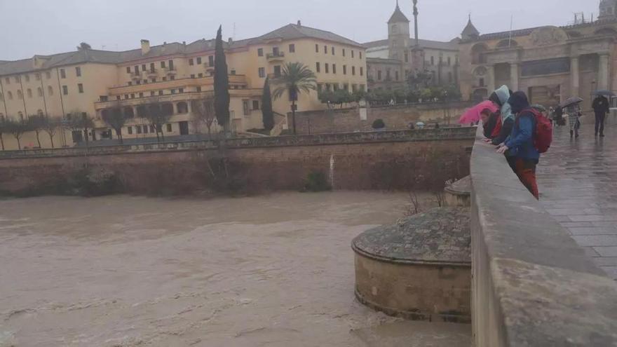 BBVA habilita un plan de ayuda para los afectados por las inundaciones en Andalucía