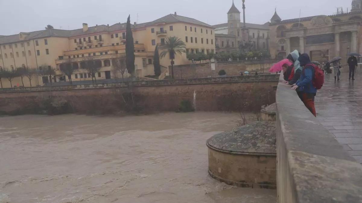 Nivel del río a su paso por Córdoba.