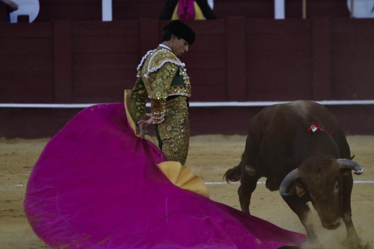 Novillada inaugural de la Feria Taurina