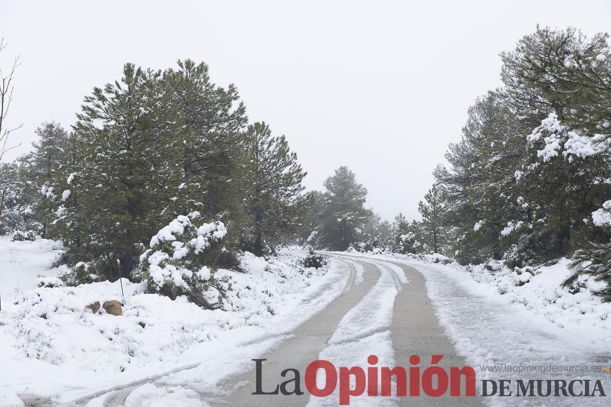 Descubre la última nevada del invierno en las proximidades de Revolcadores en Moratalla