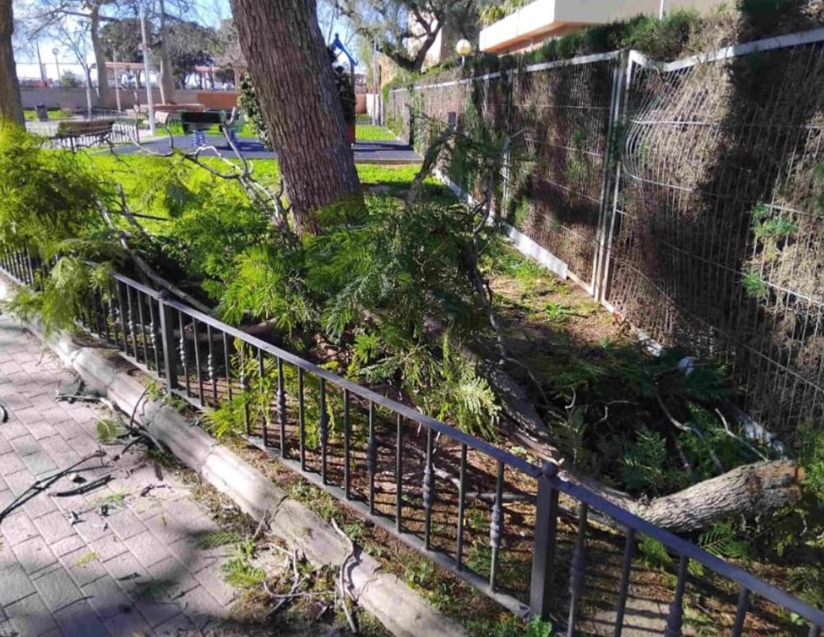 Temporal Oriana en la Pobla de Farnals.