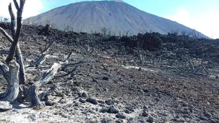 Las fuertes rachas de viento contribuyeron a reactivar en la tarde de ayer el fuego en unos 6.000 metros cuadrados de una superficie ya quemada antenoche.