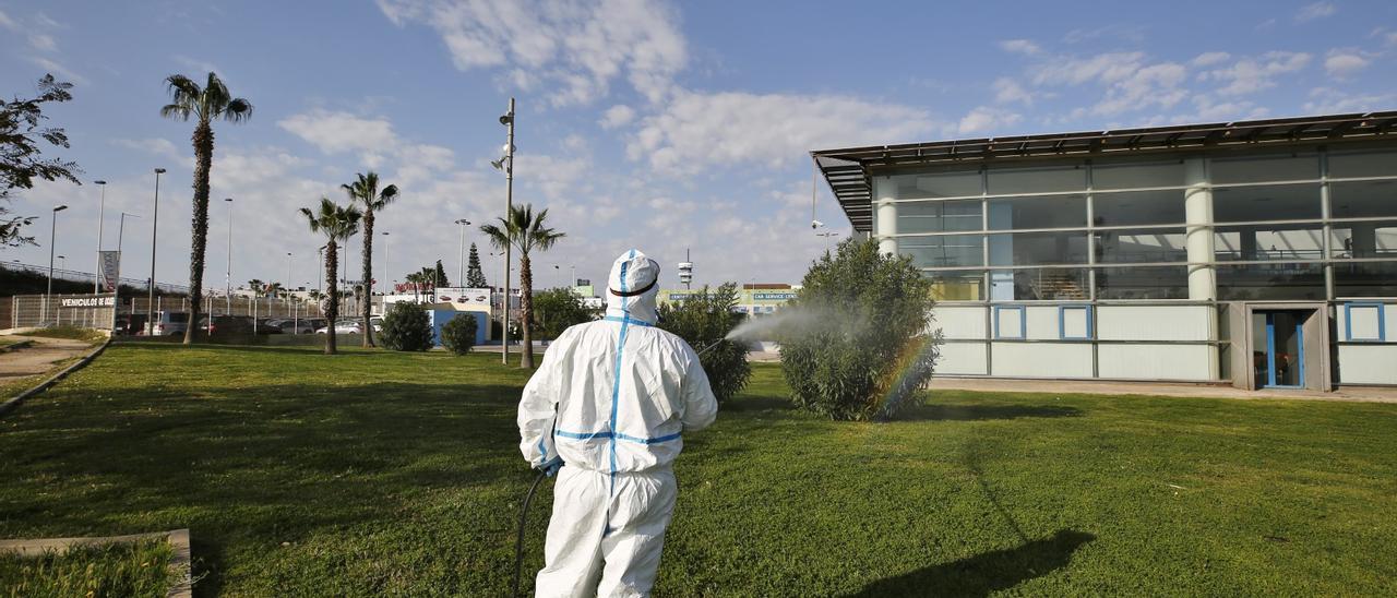 Fumigación contra la plaga de mosquitos junto al Centro Municipal de Ocio y la urbanización Doña Inés en Torrevieja/ Vídeo de JOAQUÍN CARRIÓN/PROYECTO MASTRAL