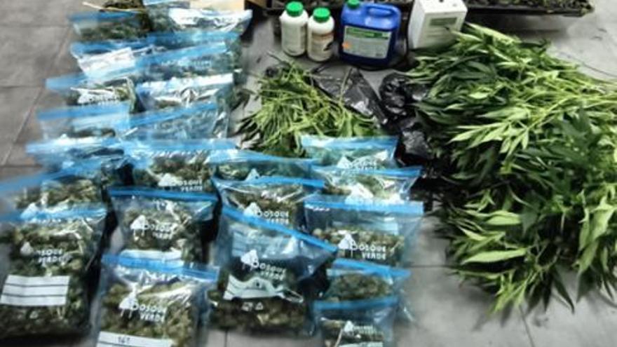 Cien plantas de marihuana y un enganche eléctrico ilegal: así era el &quot;invernadero&quot; que este vecino de las Cuencas tenía en casa