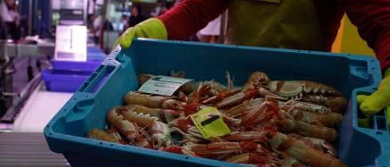 La lonja santapolera vivió el viernes una jornada clave y de gran movimiento con la llegada de la Navidad gracias a la venta del marisco.