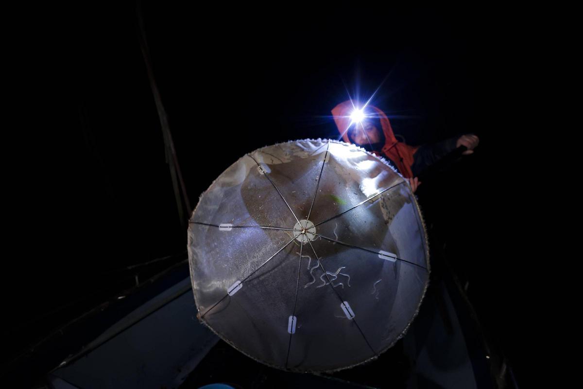 David González, pescando angula, en el Nalón.