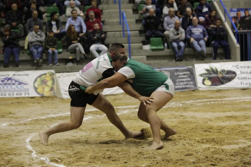 Final de la Liga Cabildo de Segunda categoría de Lucha Canaria  | 14/02/2020 | Fotógrafo: Delia Padrón