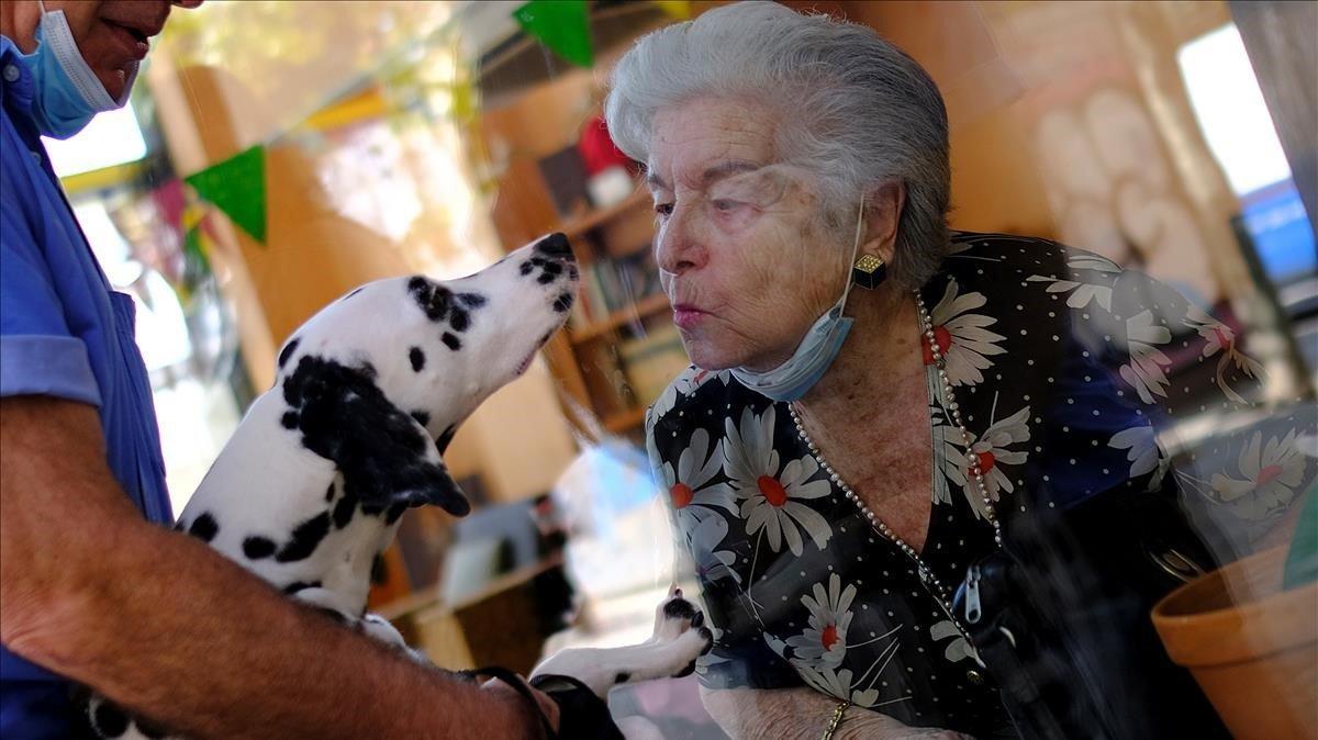 Maria de Concepcion Illa de 89 años, que vive en una residencia de ancianos, le lanza un beso a Menta, el perro de su vecino Antoni, a través de un vidrio en la residencia de ancianos Center Parc.