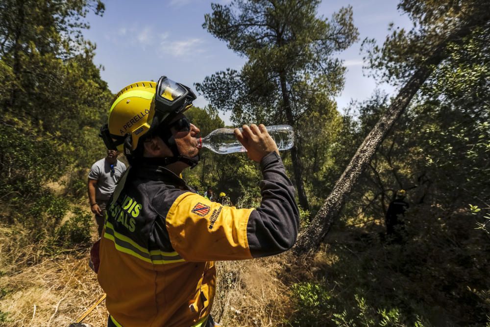 Incendio en el bosque de Bellver