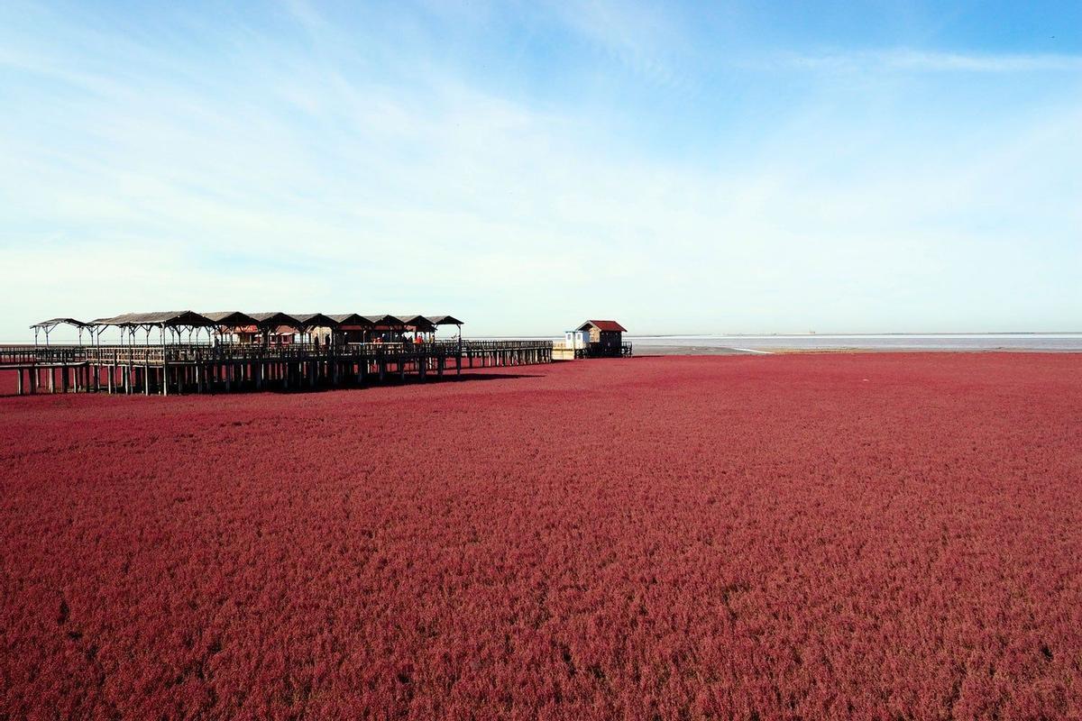 La Playa Roja, Liaoning, China