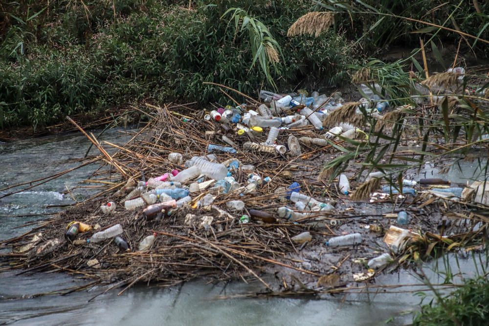 La Conselleria de Medio Ambiente y la CHS impulsan medidas para evitar la contaminación del Segura en la Vega Baja por sólidos flotantes.