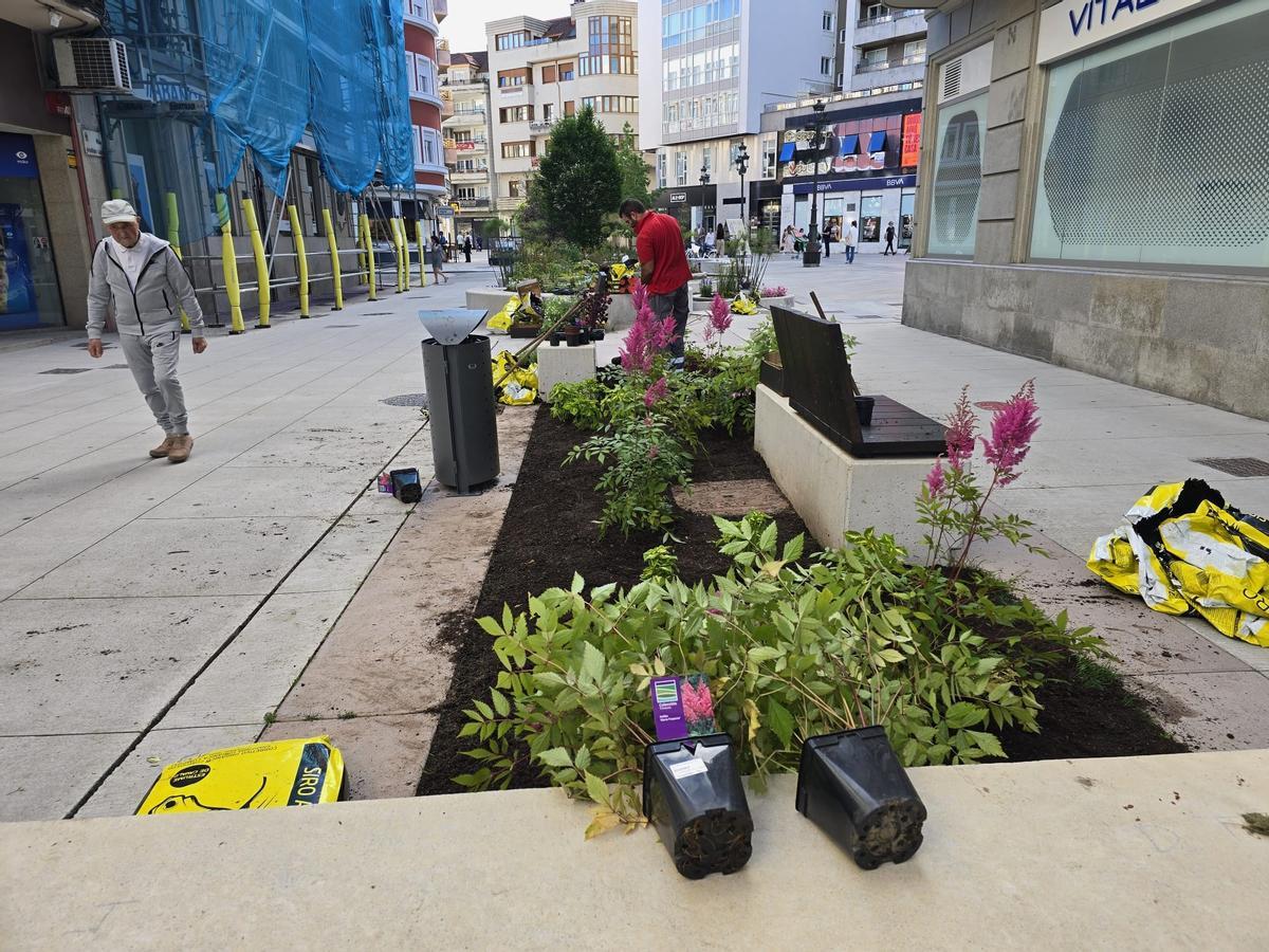 Los operarios municipales se encargan esta mañana de recuperar los deteriorados jardines de la peatonalizada calle de Arzobispo Lago, en Vilagarcía.