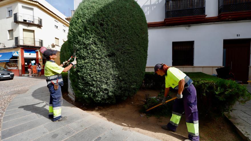 El BOE recoge la convocatoria de 58 plazas de empleo público del Ayuntamiento de Córdoba