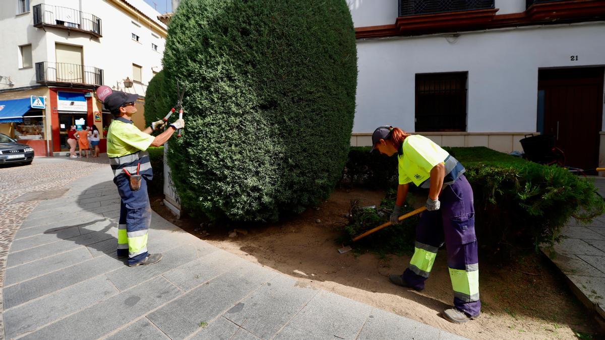 Dos jardineros municipales de Córdoba, uno de los trabajos con convocatoria de nuevas plazas.