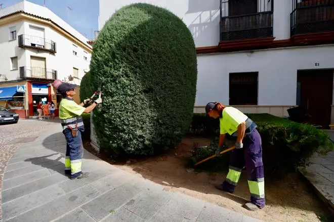 El Ayuntamiento de Córdoba convoca 58 plazas de empleo público, 34 para personal funcionario