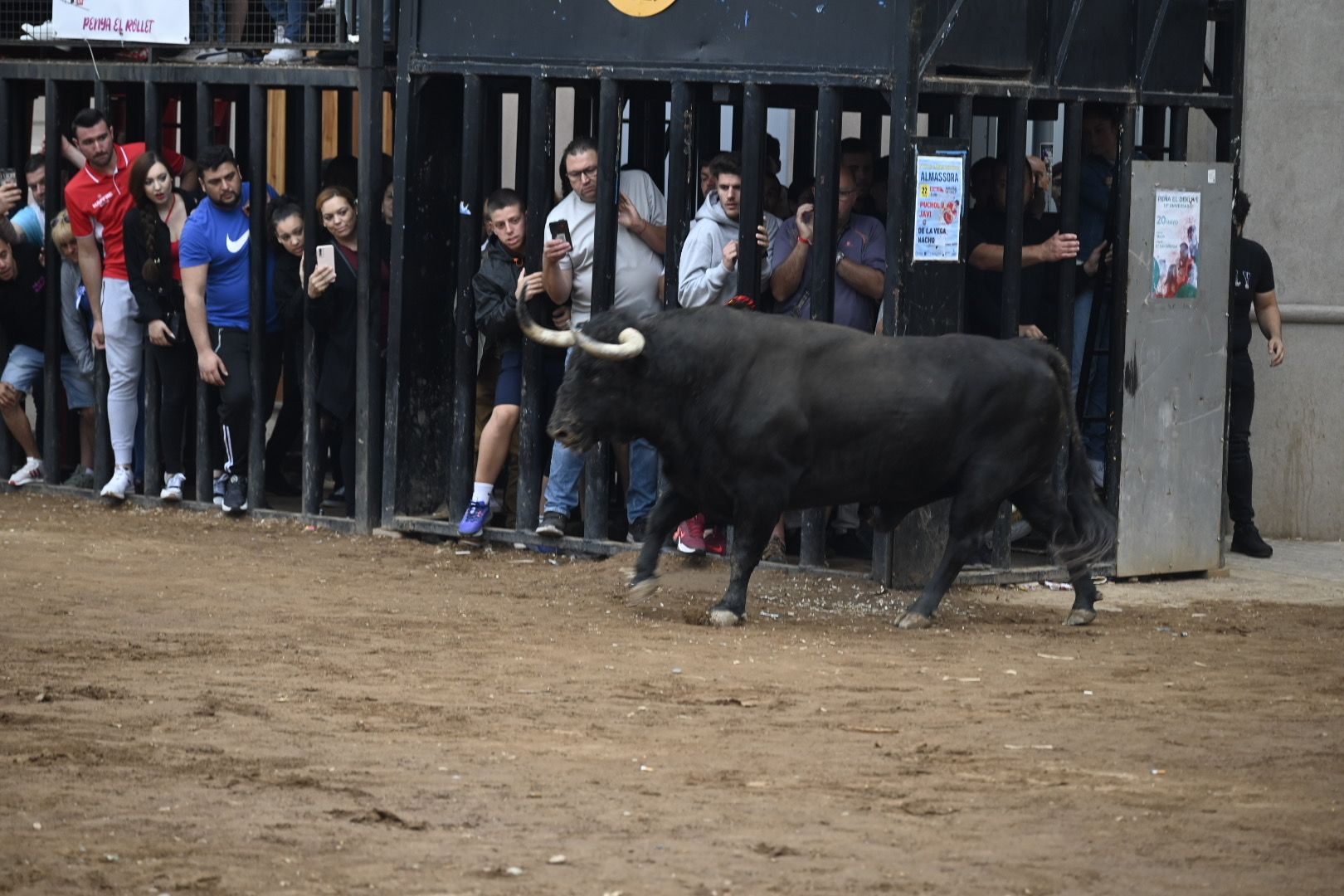 Galería | Las imágenes de la penúltima tarde de toros de las fiestas de Almassora