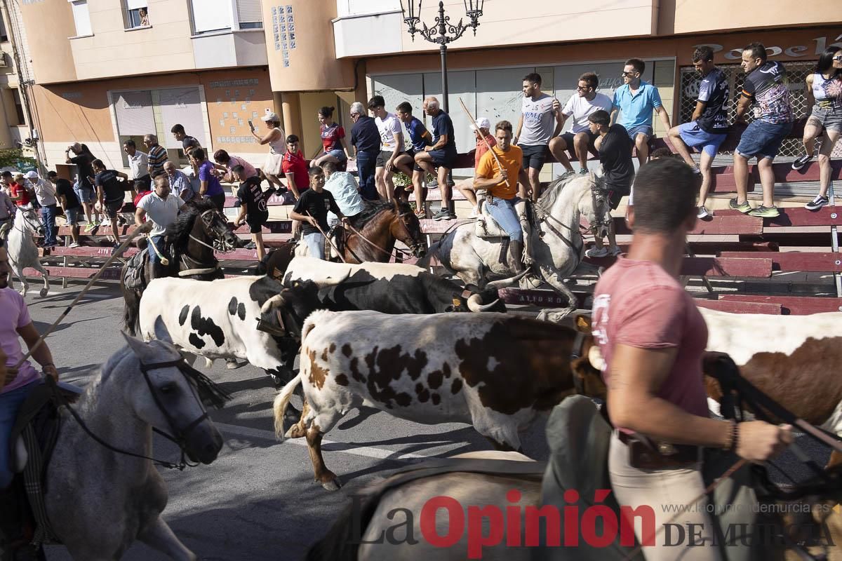 Séptimo encierro de las Fiestas de Moratalla