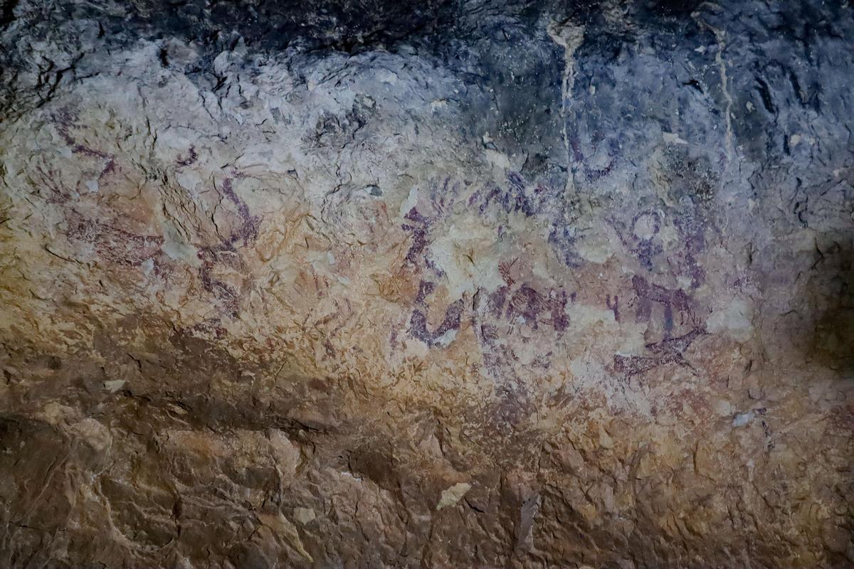 Imágenes de la visita nocturna a las pinturas rupestres de la Sarga