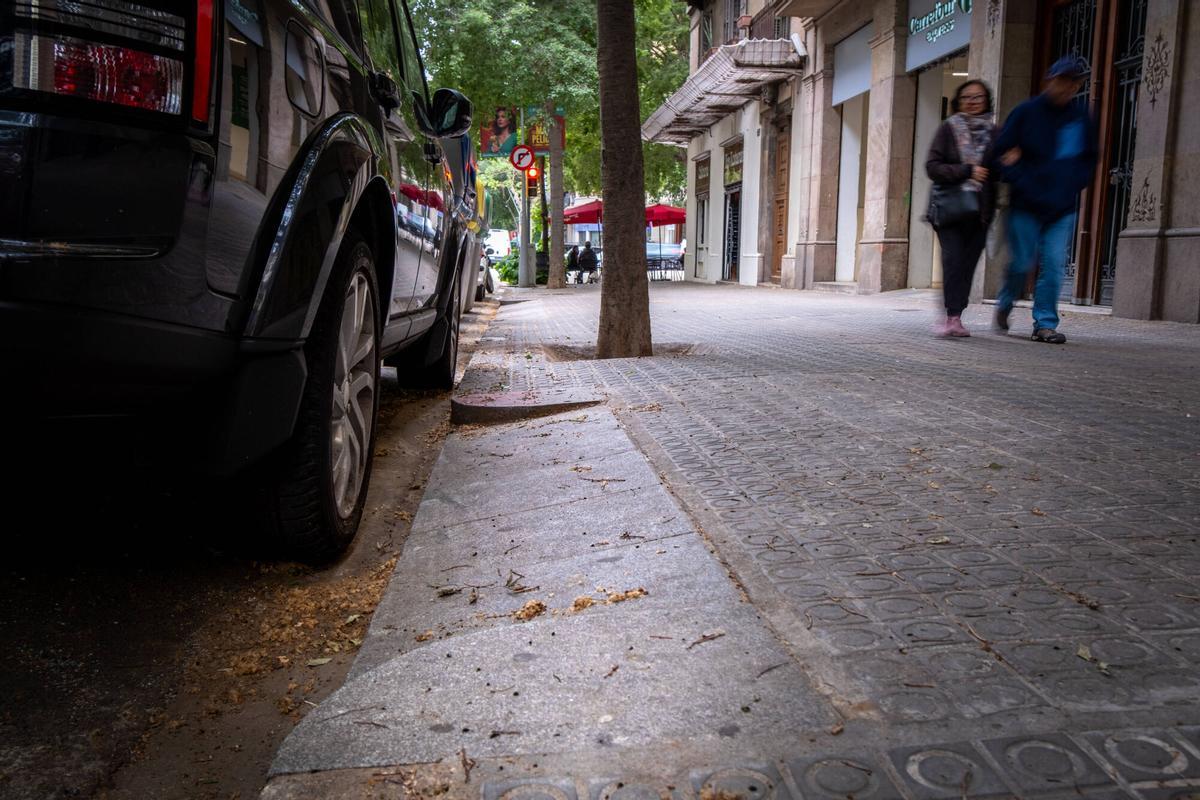L’Eixample estudia plantar arbres als guals inoperatius