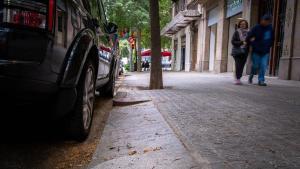 L’Eixample estudia plantar arbres als guals inoperatius
