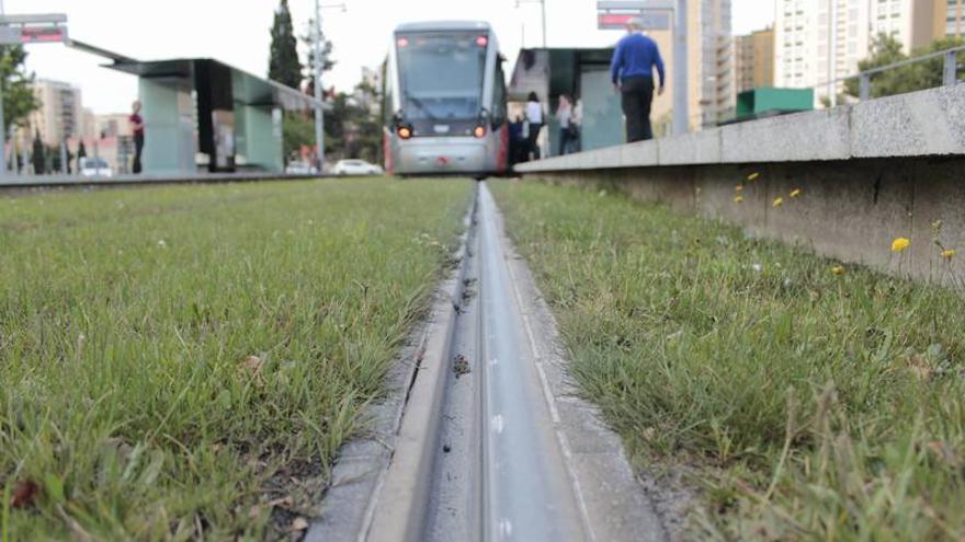 Los Tranvías reparan daños en la vía de los cruces más transitados