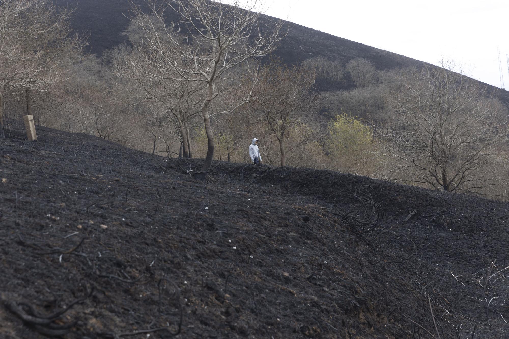 El aspecto del Naranco tras unos incendios históricos