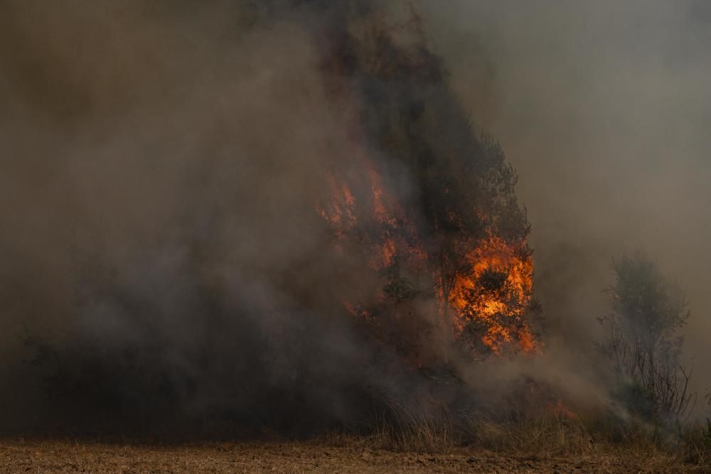 Incendi a Caldes de Malavella.