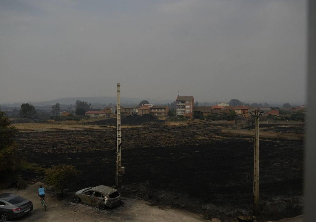 Zona quemada de Ayoó de Vidriales. | JOSÉ LUIS FERNÁNDEZ