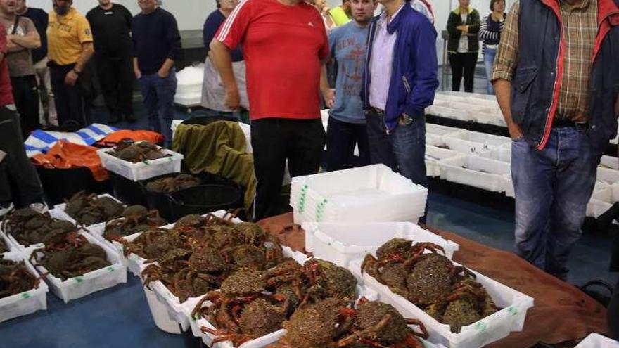 Subasta de centollo en la lonja de O Grove. // Muñiz