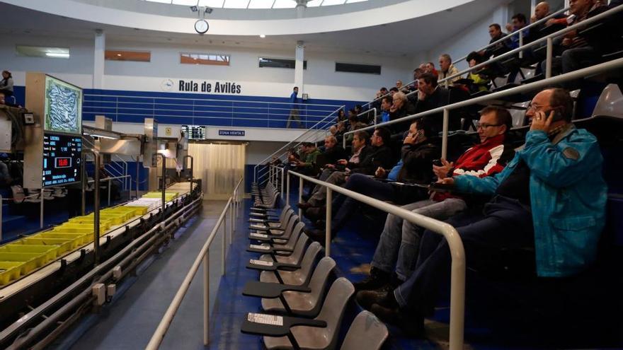 La cancha de subasta de pescado de la rula de Avilés.