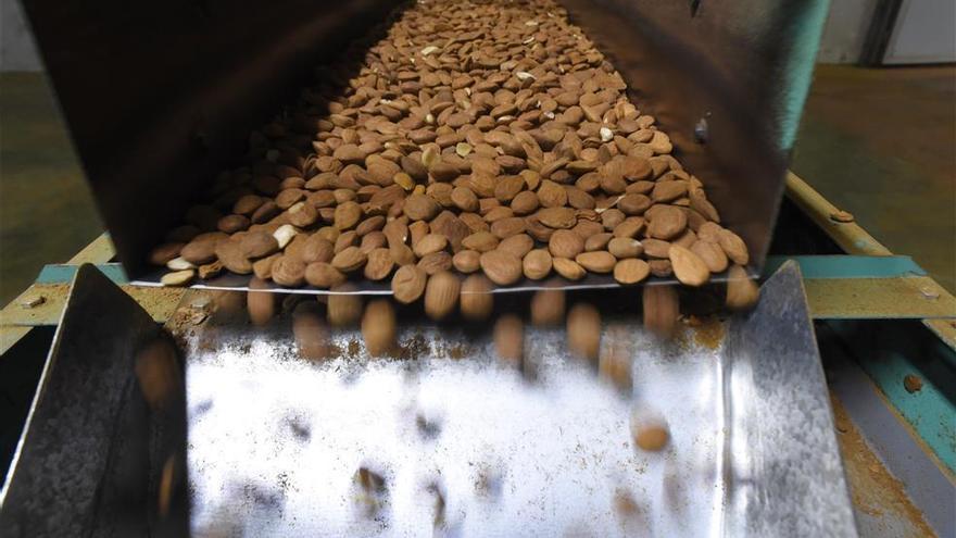 Extremadura producirá 2.795 toneladas de almendras en 2019