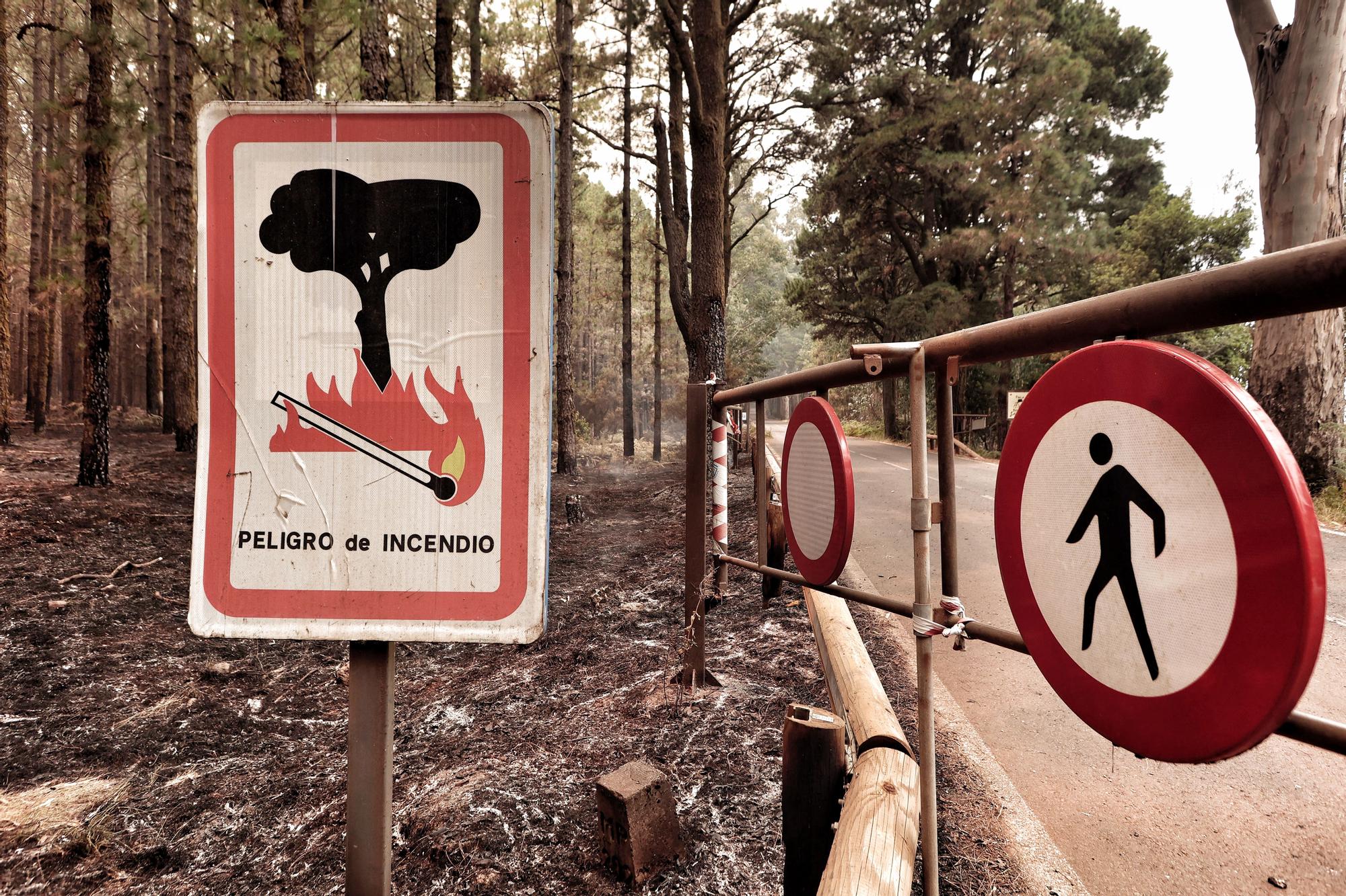 Evolución del incendio en Tenerife