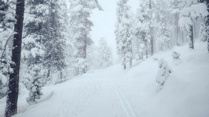 La primera gran nevada de la temporada al Berguedà i a la Cerdanya, en imatges